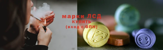 спиды Нефтекумск
