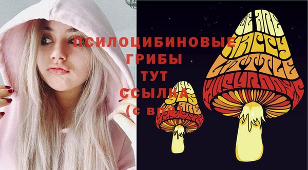 2c-b Нефтегорск