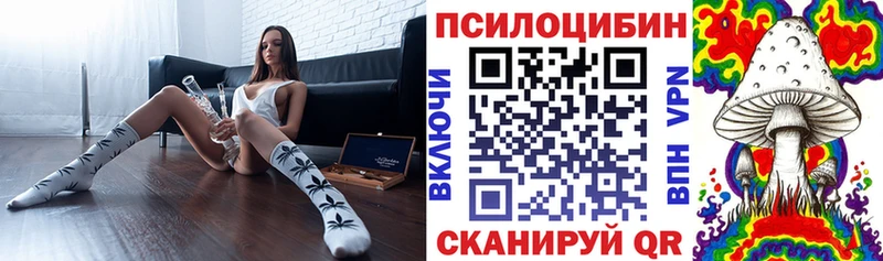 omg вход  Петухово  Псилоцибиновые грибы мухоморы  цены  