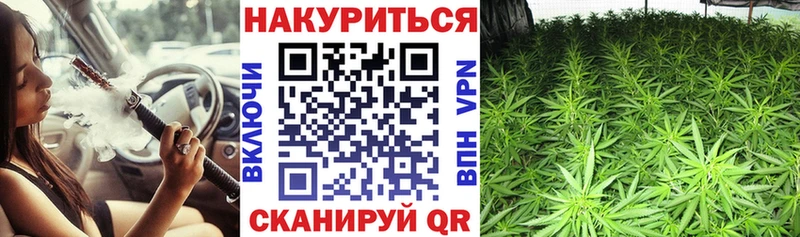 Шишки марихуана сатива  hydra вход  Петухово 